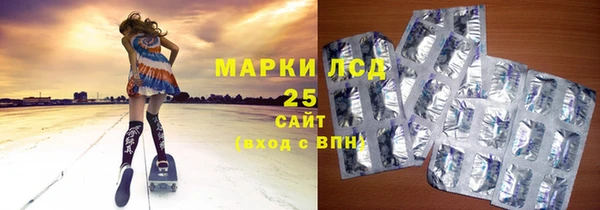 ПСИЛОЦИБИНОВЫЕ ГРИБЫ Алексин