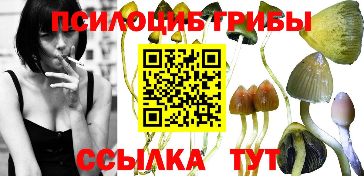 Псилоцибиновые грибы мицелий Междуреченск