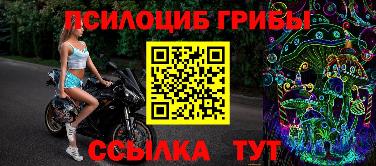 Псилоцибиновые грибы GOLDEN TEACHER  Вход с VPN  Междуреченск  Псилоцибиновые грибы прущие грибы 